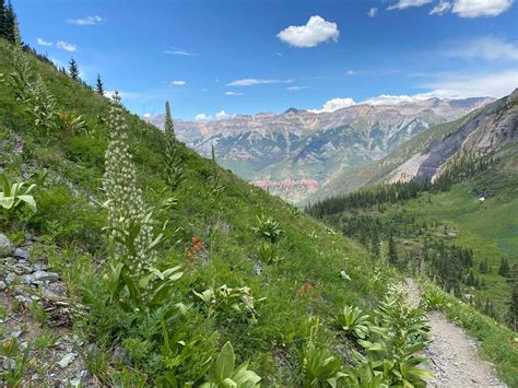From Peaks to Valleys: The Majestic Landscapes of Magix Mewdows Trail in Telluride